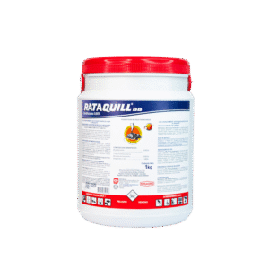 Rataquill bloque 1 kg